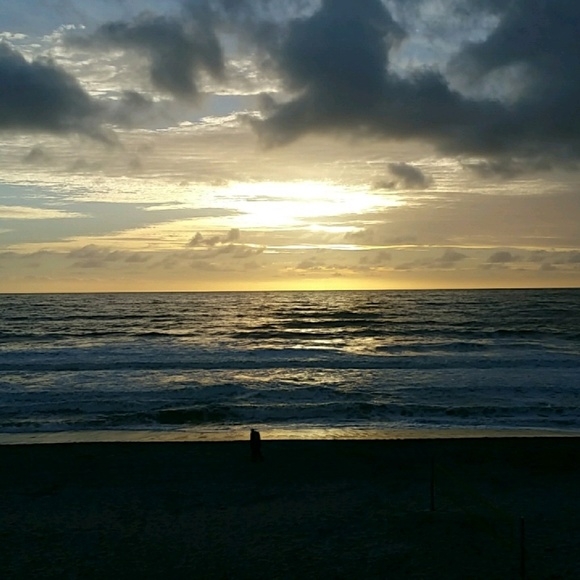 Meet your Posher, Nick - Picture 1 of 1